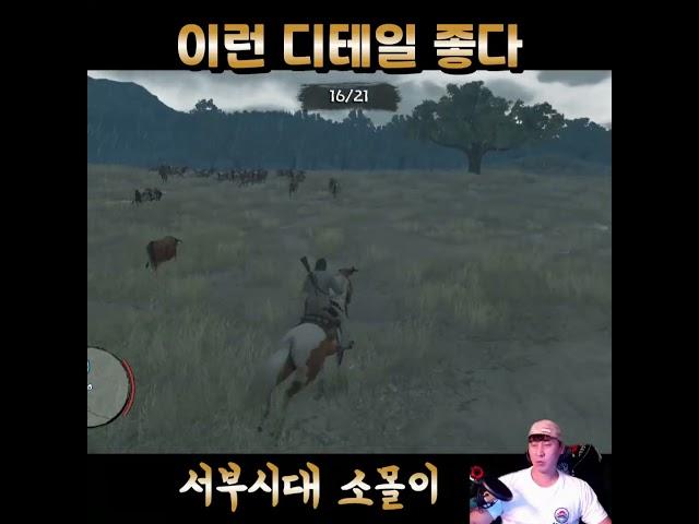 뿔뿔이 흩어진 소들을 집결하라(소는 누가 키워?) #레드데드리뎀션 #reddeadredemption #rockstar