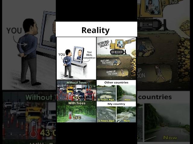 Reality #motivation #inspiration #quotes #motivationalquotes