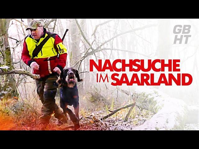 GermanysBoarHunterTour // -8 Grad Knallharte Böden, Sauen im Anblick // Winterjagd im Saarland