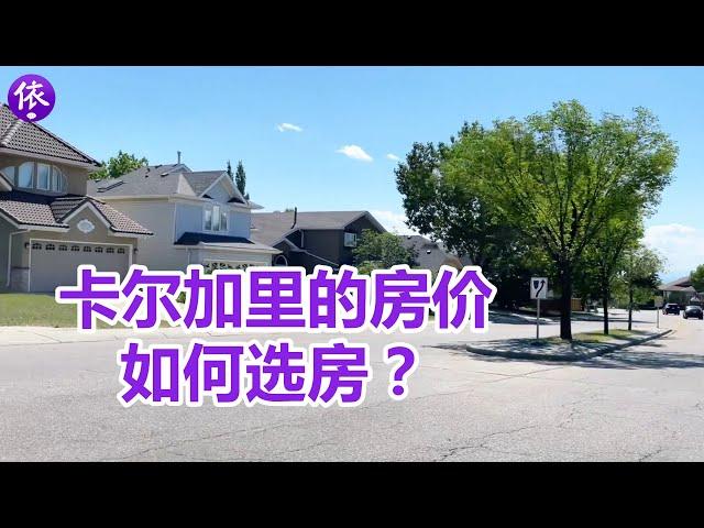 卡尔加里的房价, 如何选房？60万能买到带走出式地下室的独立房？