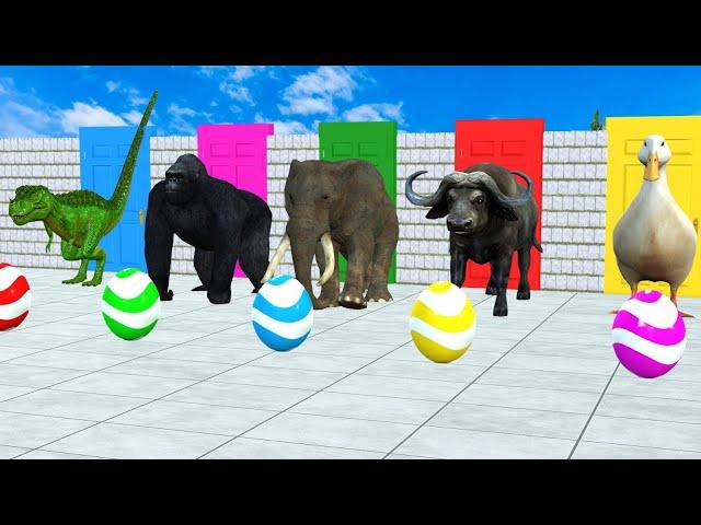 Long Slide Game With Lion Elephant  Cow Gorilla Zebra T-rax  Tiger 3d Animal Game Funny 3d Animals