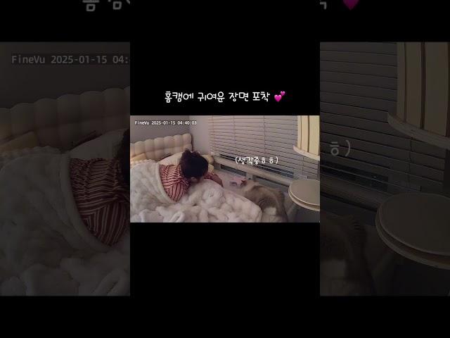 홈캠에 귀여운 장면 포착