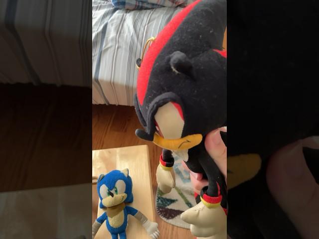 Why Sonic and Shadow should “NEVER” Google themselves together #sonic #shorts #shadowthehedgehog