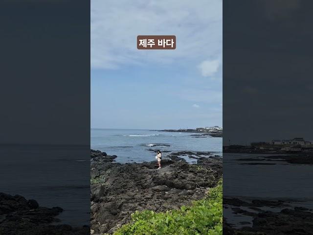 #제주바다 #오션뷰 #런던베이글뮤지엄 #jeju #ocean #쇼츠 #shorts