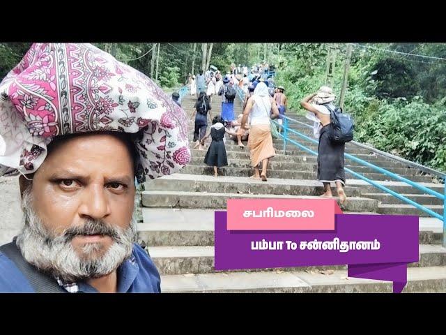 Sabarimala Yatra 2024 - Pamba to Sannidhanam | பம்பா to சன்னிதானம் | படி பூஜை | Ayyappan Temple