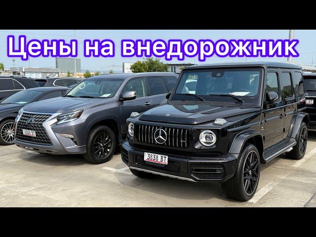 МОШИНБОЗОРИ ГРУЗИЯ НАРХУ НАВОИ ҶИПҲО!