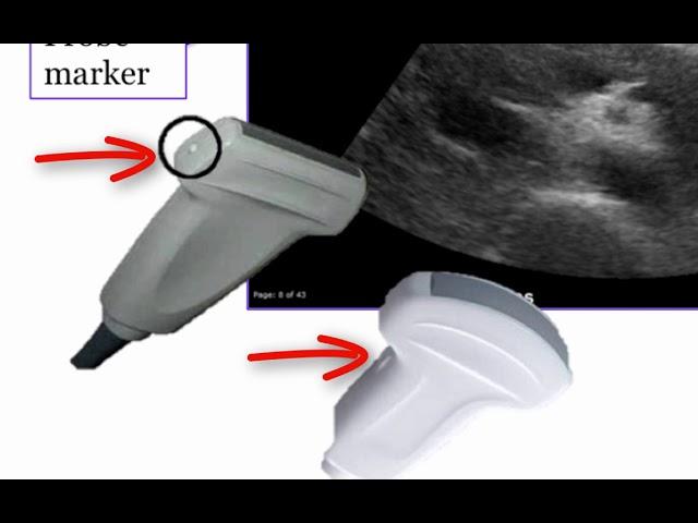 Introduction to Radiology: Ultrasound