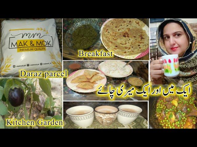 میں اور میری چائے/Daraz Parcel /My Kitchen Garden/ My Daily & Busy routine vlog #vlog