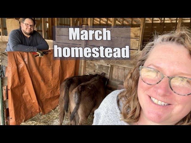 Missouri Homestead : One Year on Our Farm : March