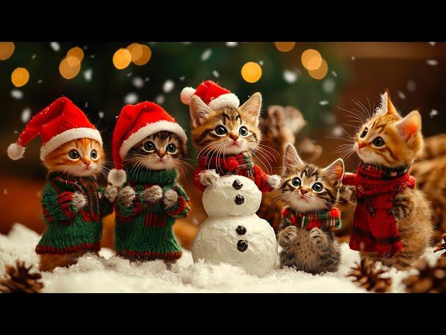 Cute Kittens Celebrate Christmas | Cult of Kittens