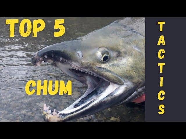 "Top 5" | Chum Salmon Techniques