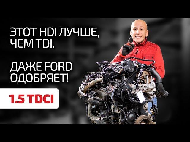 1.5 TDCI is a fine French diesel for Ford. What are the disadvantages of it?