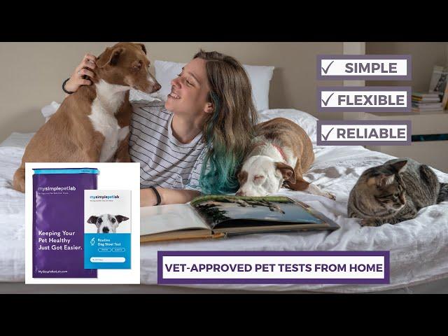 Vet-Approved Pet Tests from Home | MySimplePetLab