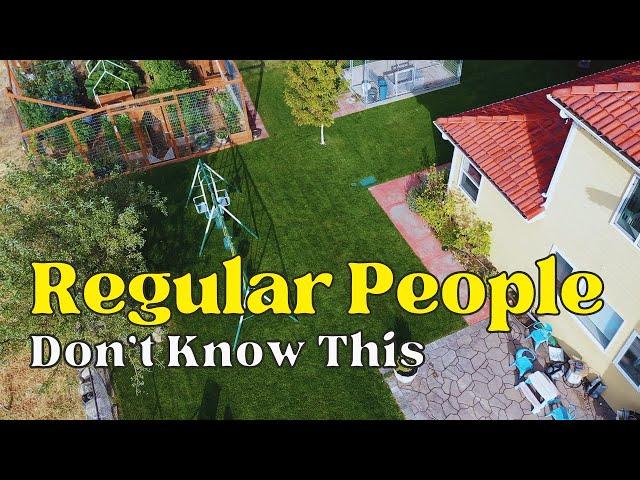 My #1 Tip For Fixing An Ugly Spring Lawn