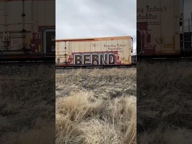 #bernd #atomik #atomikgraffiti  #berndgraffiti