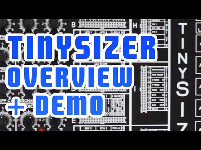 TINYSIZER Demo & Overview - The Synth for you? #TTNM