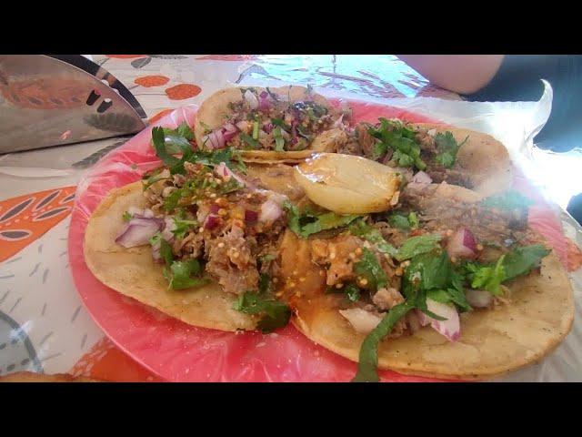 My favorite Mexican street tacos for breakfast - our family life in Mexico vlog.