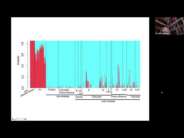 Webinar: Environmental and Public Health Risks of Genetically Engineered (GE or GMO) Mosquitoes