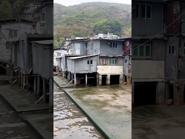 这里是香港深井村，有名的深井烧鹅就在这里。房屋破旧，历经百年风雨都不倒。#香港村屋#香港旅行攻略 #香港生活