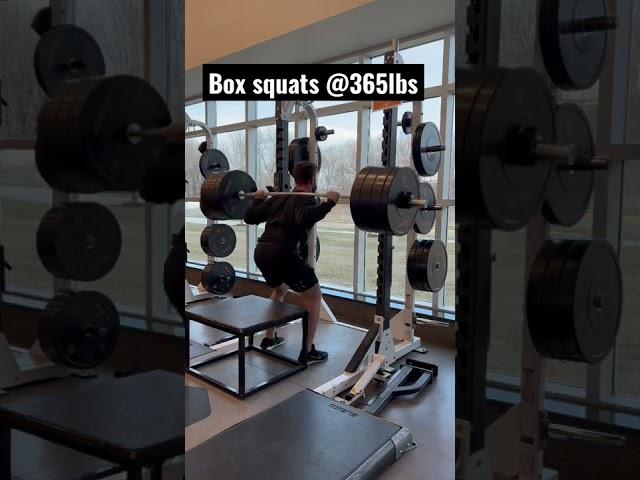 Box squats @ 365lbs