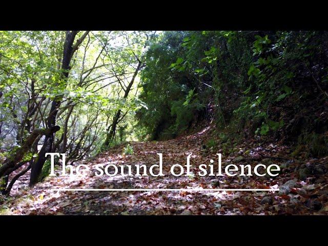 The Sound of Silence