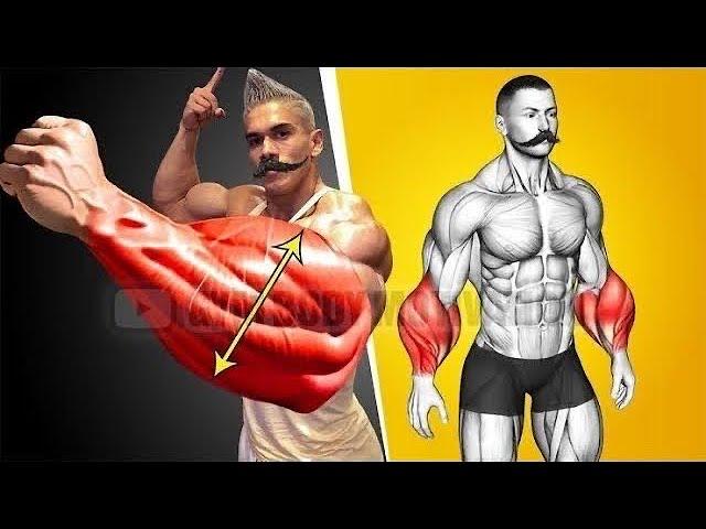 BIG ARMS WORKOUT AT HOME | Build Forearms Fastest using Dumbbell Only (5 Effective Exercise)