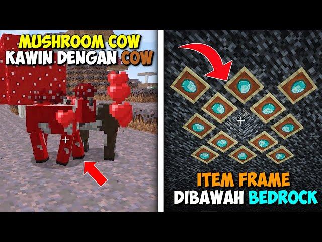 30 FAKTA UNIK DILUAR NALAR YANG SUDAH TERLUPAKAN DI MINECRAFT!!