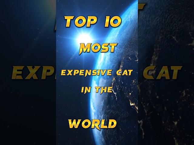 top 10 most experience car in the world || #viral #top10 #top5 #shorts