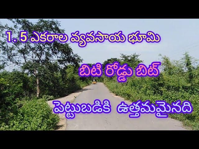 Agricultural Land For Sale Near Warangal||Investment Farm Land||Land For Sale#agrilands