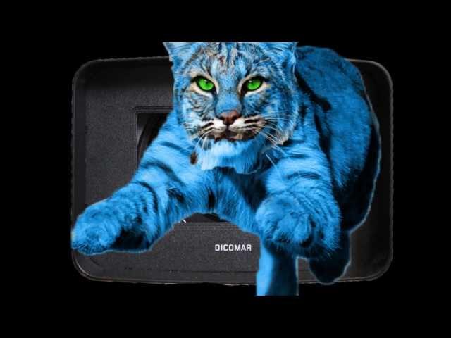 Bobcats Online IDFF Commercial