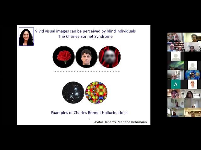 Prof Rafi Malach on "A structuralist perspective on the neuronal basis of human visual perception"