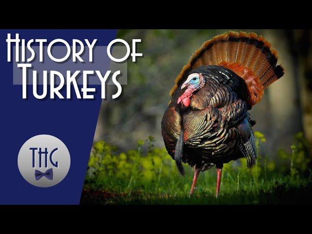 Get Stuffed!  The History of the Turkey