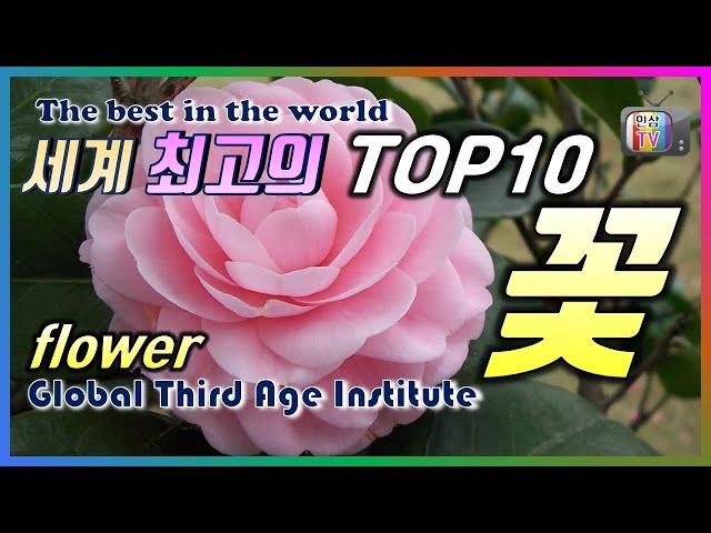 세계 최고의 TOP10 꽃, flower, 봄, 이 세상에서 가장 아름답고 희귀한 꽃은 무엇일까요?