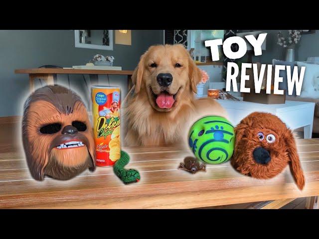 My Dog Reviews Toys