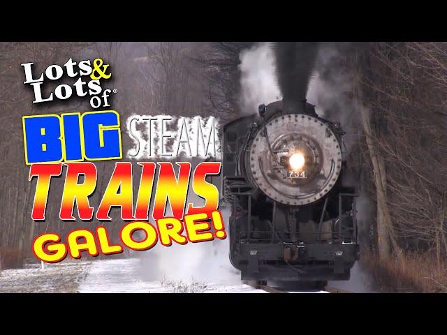 Lots and Lots of Big Steam Trains Galore (1 HOUR OF STEAM TRAINS)