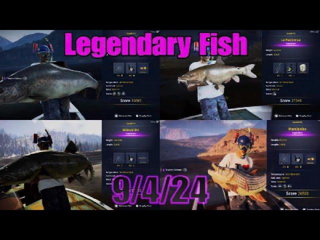 How To Catch All 4 Legendary Fish This Week 9/4/24 COTW The Angler Fast And Easy Guide