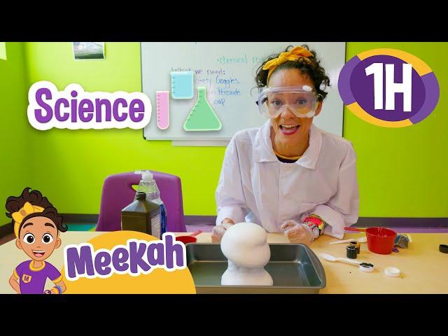 Science Experiments for Kids With Meekah | Educational Videos for Kids | Blippi and Meekah