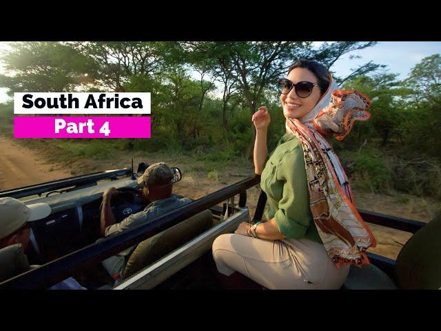 South Africa Part 4 -Moditlo Hotel Tour- Private Safari