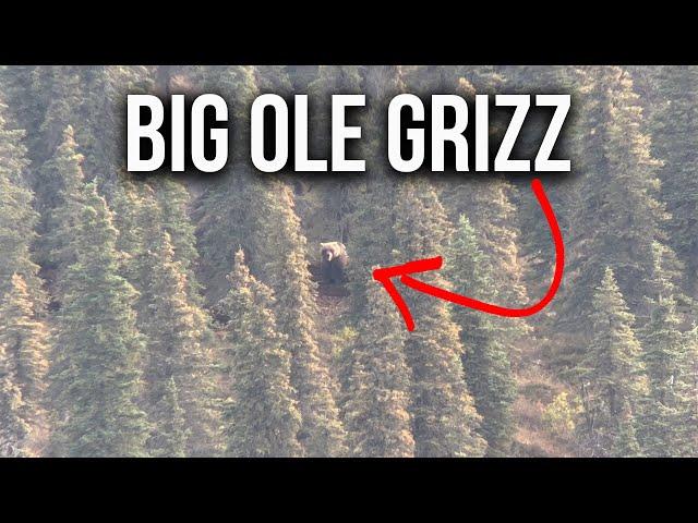 How to Hunt in Grizzly Country & Tips to Stay Safe!