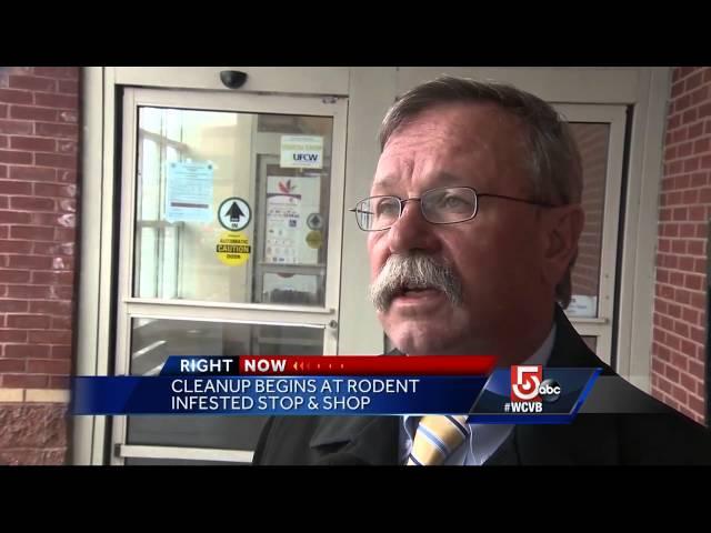 Rodent infested Stop & Shop remains closed as cleanup commences