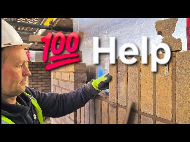 100% Some Help For Bricklaying