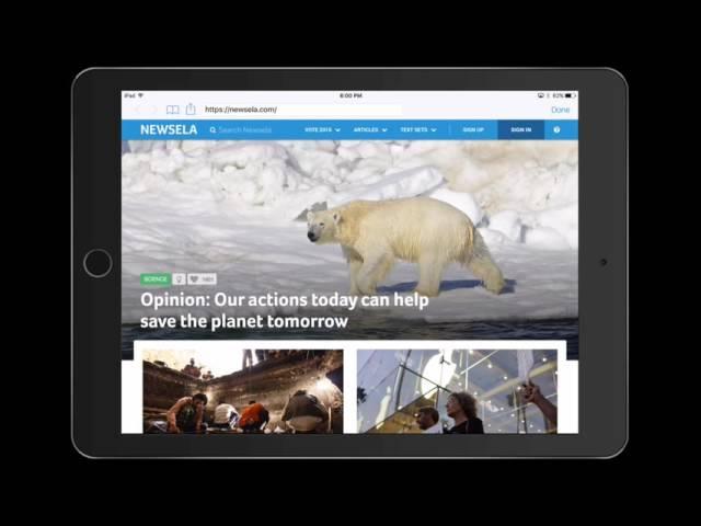 Notability  Small Web Clips