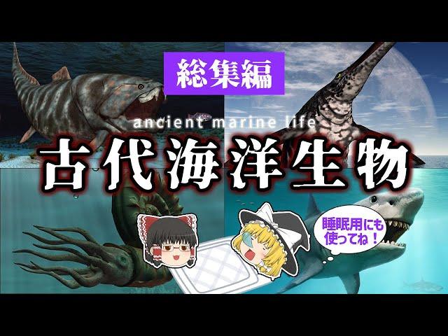 【睡眠用・ゆっくり解説】古代の海に潜む、海洋生物たち①【広告最初のみ　途中広告なし】