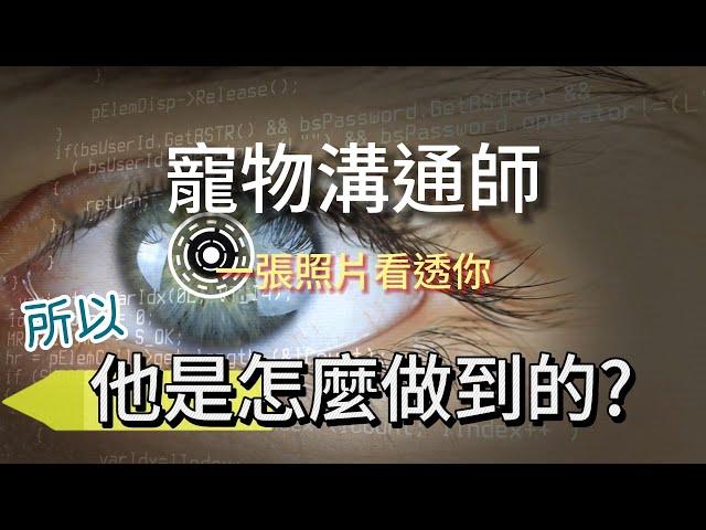 寵物溝通師.為什麼這行業長期被罵翻卻屹立不搖?! 幫你1次搞懂!!