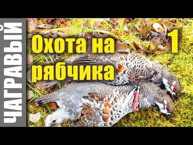 Секреты охоты на рябчика - 1. Secrets of hunting grouse from Russia - 1.