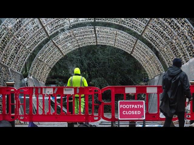 Storm Bert brings down a huge tree at Bournemouth's "Christmas Tree Wonderland Trail"