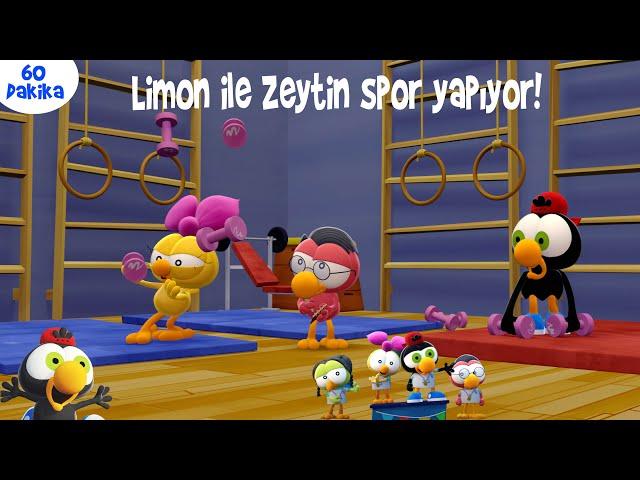 60 DAKİKA ÇİZGİ FİLM ‍️‍️#52 - Limon ile Zeytin Spor Yapıyor!  | TRT Çocuk - Disney Channel