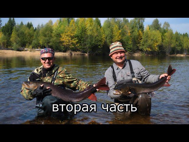 Дикие таймени Станового хребта (2 часть).Быт в лагере. Конкурс(нож в подарок).Сплав по реке.Рыбалка.