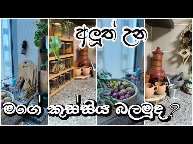 My kitchen ~අලුත් අවුරුද්දට වෙනස් උන මගේ කුස්සිය🫣