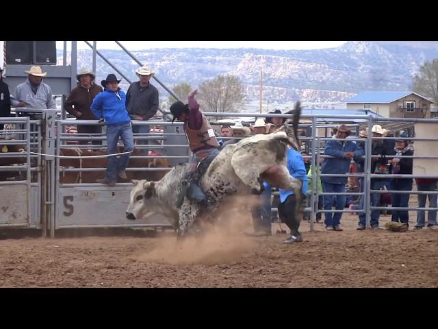 Triple Threat Bull Riding